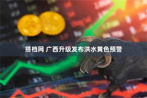 搭档网 广西升级发布洪水黄色预警