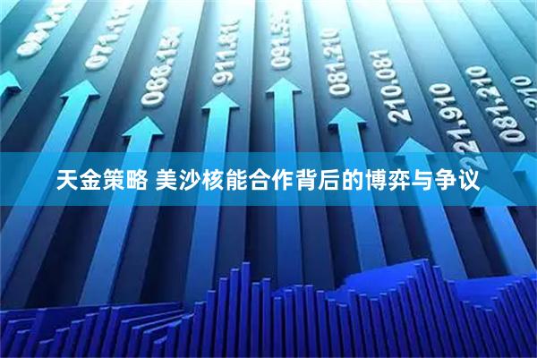 天金策略 美沙核能合作背后的博弈与争议